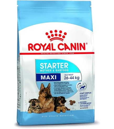 Royal Canin Professional HT 42d Large 17kg : Amazon.in: Pet